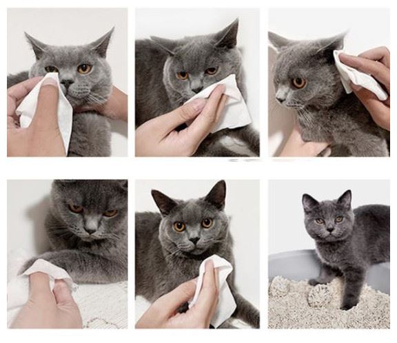 Les tovalloletes de mascotes són les mateixes que les tovalloletes ordinàries